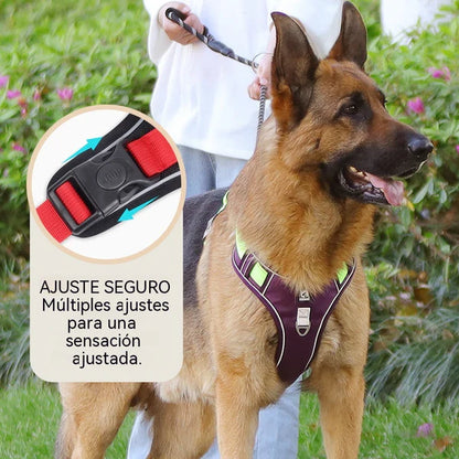 🐶🔥 35% DE DESCONTO POR TEMPO LIMITADO! Coleira peitoral anti-puxão com trela e coleira ✨ Máximo controlo e segurança em todos os passeios 🌙