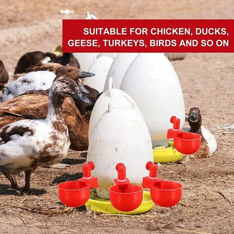 【12 peças】Bebedouro automático para aves, sem necessidade de alimentação manual