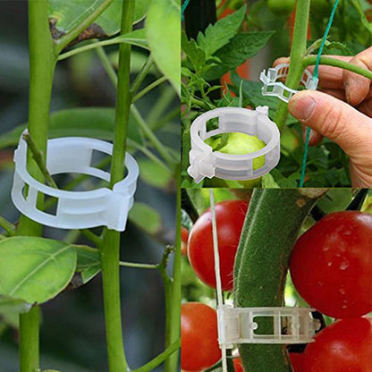 【🔥200 unidades】Clipes de fixação para o crescimento de plântulas de plantas