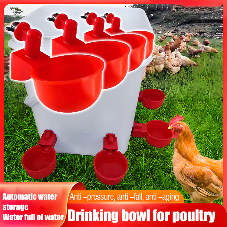 🐔 🎁 Bebedouros automáticos para aves (com berbequim incluído) --💧 Poupe tempo, sem mais trocas diárias de água