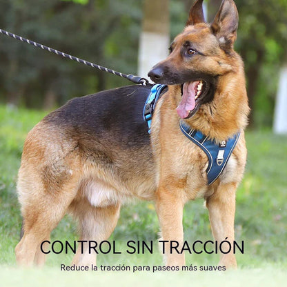 🐶🔥 35% DE DESCONTO POR TEMPO LIMITADO! Coleira peitoral anti-puxão com trela e coleira ✨ Máximo controlo e segurança em todos os passeios 🌙
