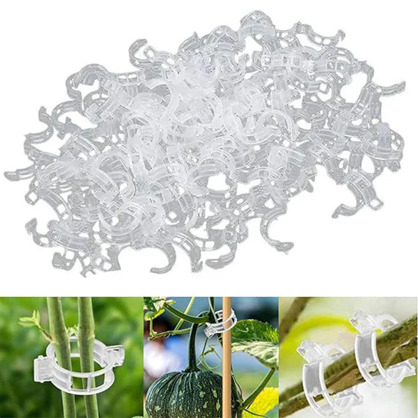 【🔥200 unidades】Clipes de fixação para o crescimento de plântulas de plantas