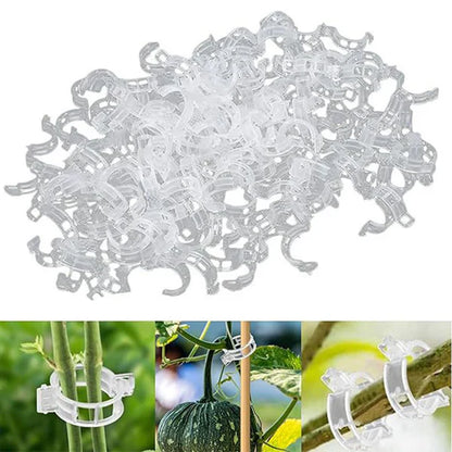 【🔥200 unidades】Clipes de fixação para o crescimento de plântulas de plantas