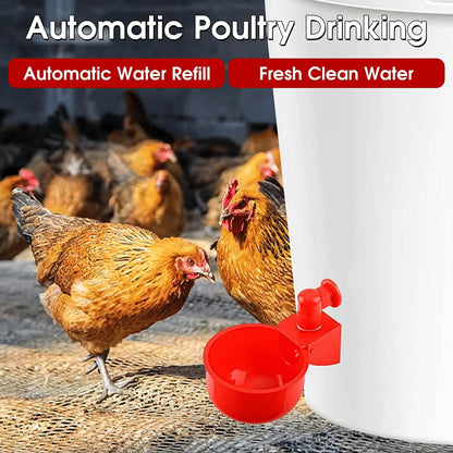 【12 peças】Bebedouro automático para aves, sem necessidade de alimentação manual