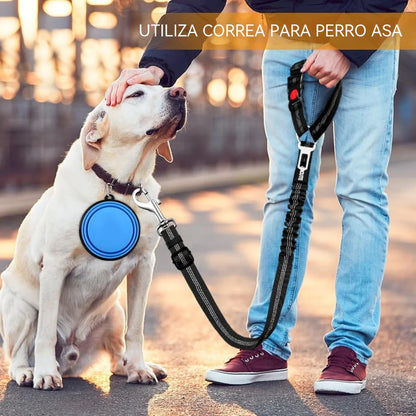 🐶🐕【2 peças 28,4 euros】 Cinto de segurança e trela para passear cães (2 em 1)