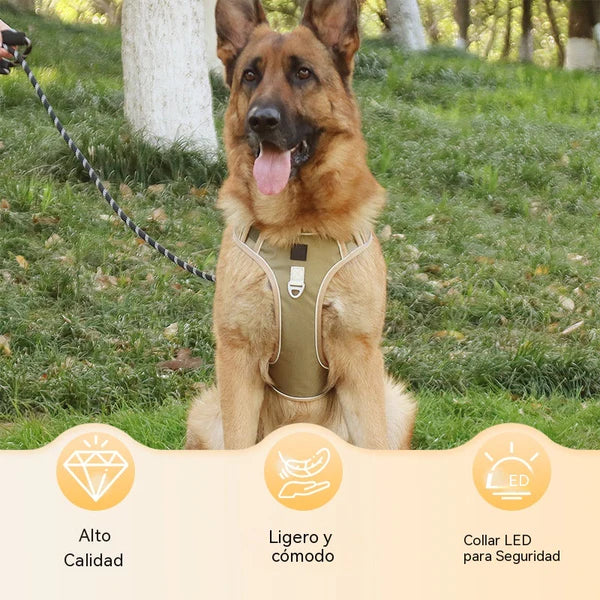 🐶🔥 35% DE DESCONTO POR TEMPO LIMITADO! Coleira peitoral anti-puxão com trela e coleira ✨ Máximo controlo e segurança em todos os passeios 🌙