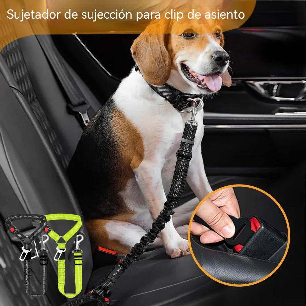 🐶🐕【2 peças 28,4 euros】 Cinto de segurança e trela para passear cães (2 em 1)